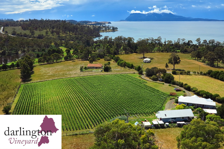 Darling Vineyard, East Coast Tasmania
