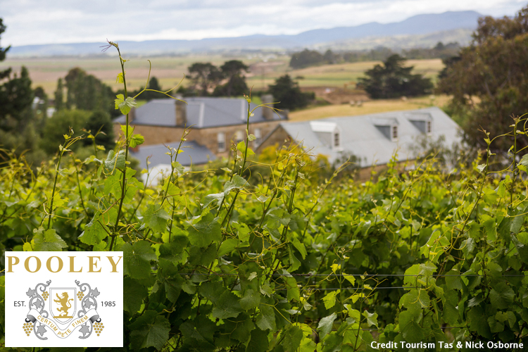 Pooley Wine, Coal River Valley