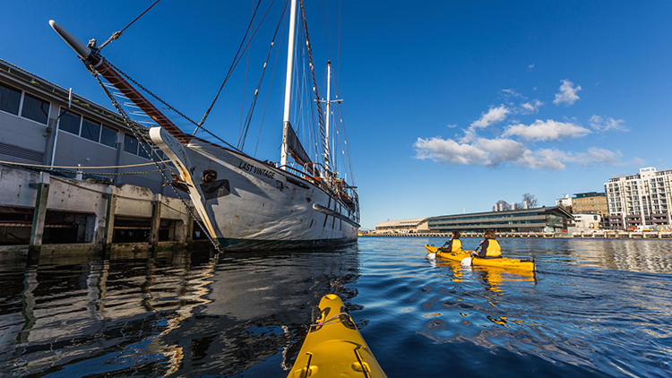 Roaring 40s Kayaking Hobart City Paddle